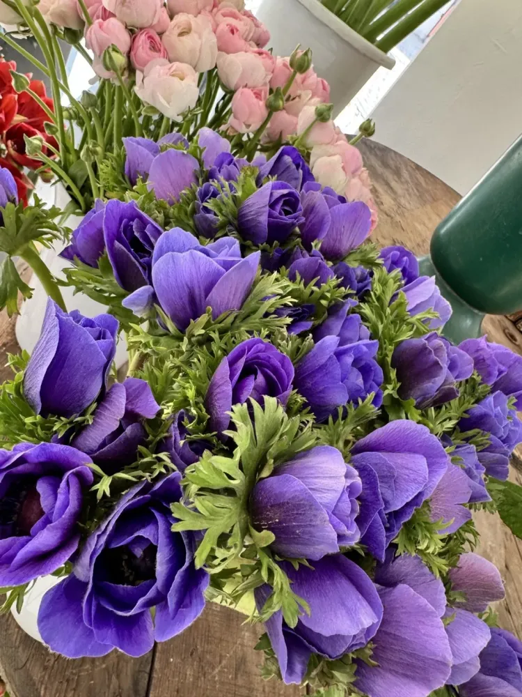 bouquet fleur (10)