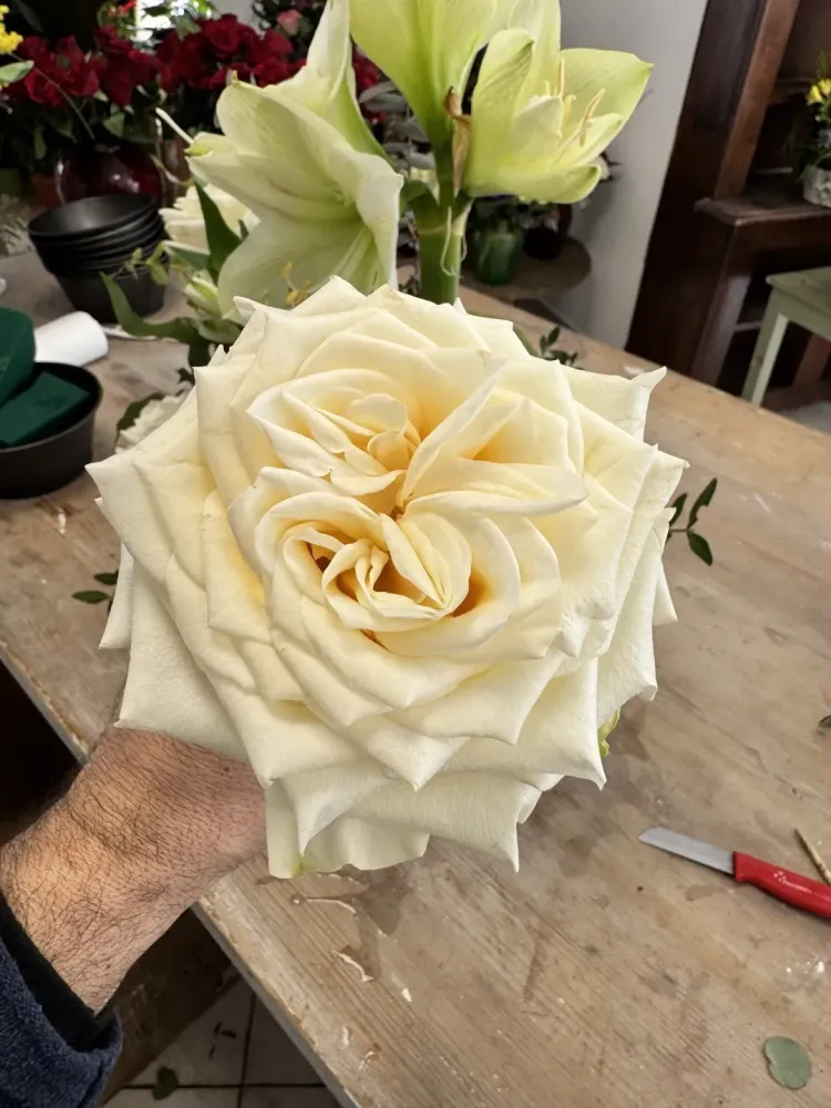 bouquet fleur (21)