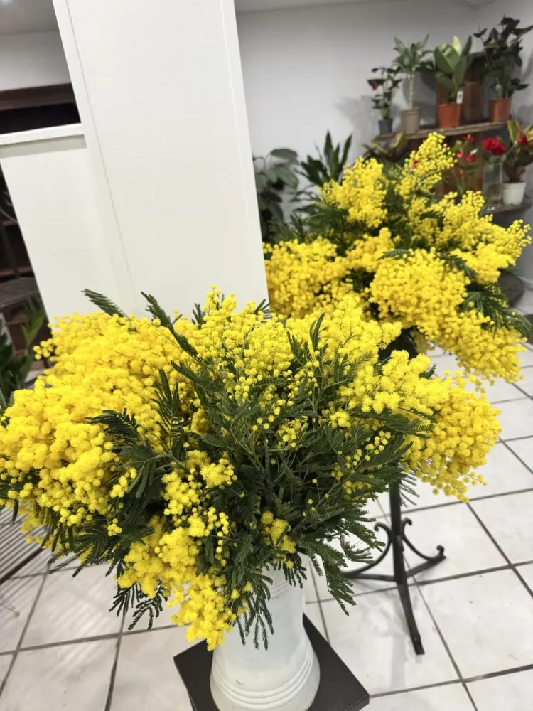 bouquet fleur (13)