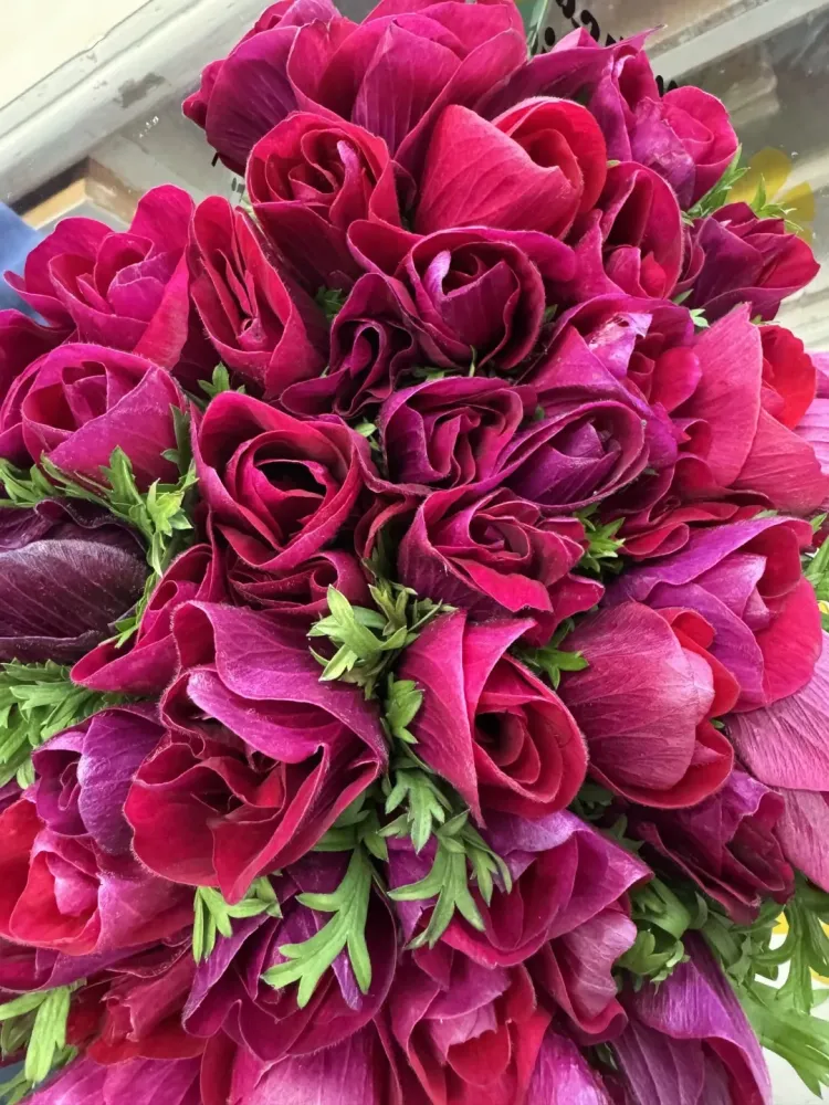bouquet fleur (35)