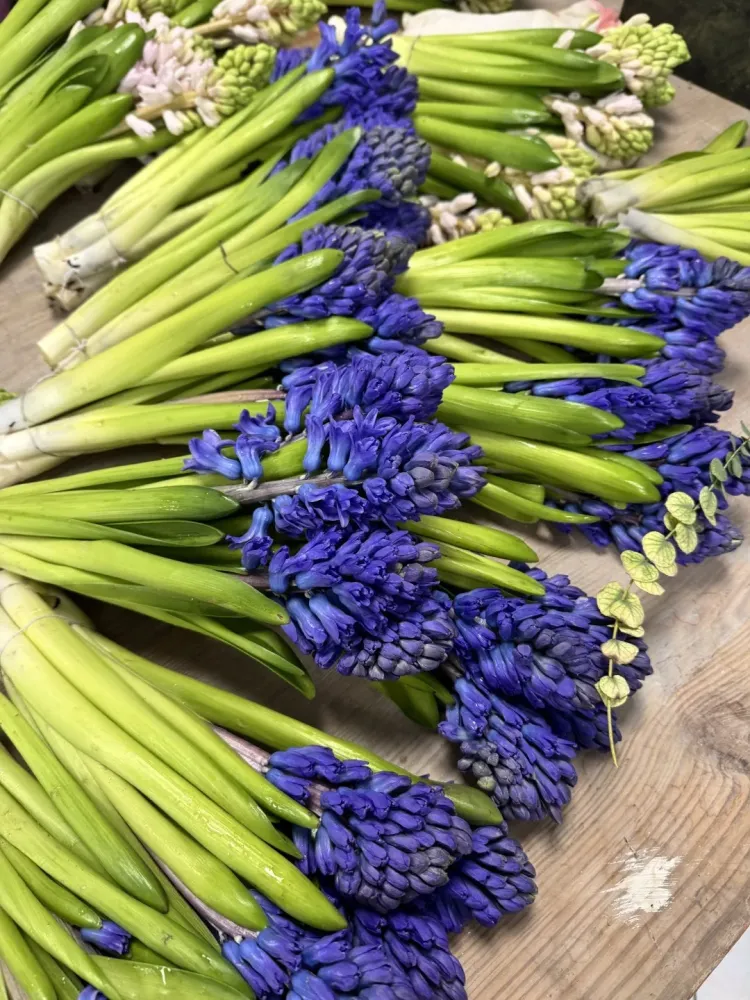 bouquet fleur (38)
