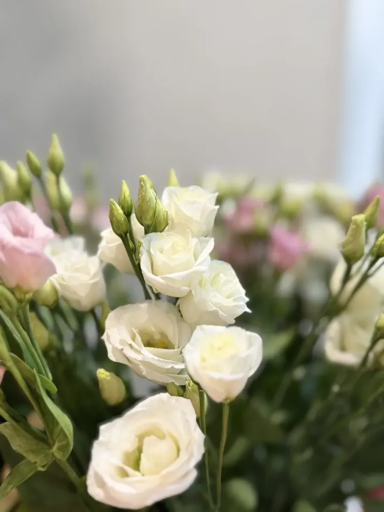 bouquet fleur (52)